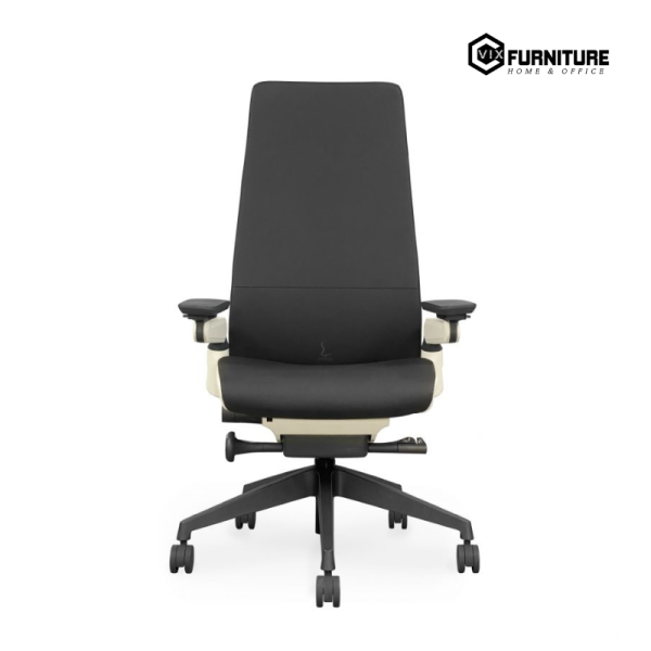 Ghe Ergonomic ROGER VFE102 2